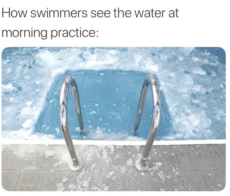 swimming memes ile ilgili görsel sonucu